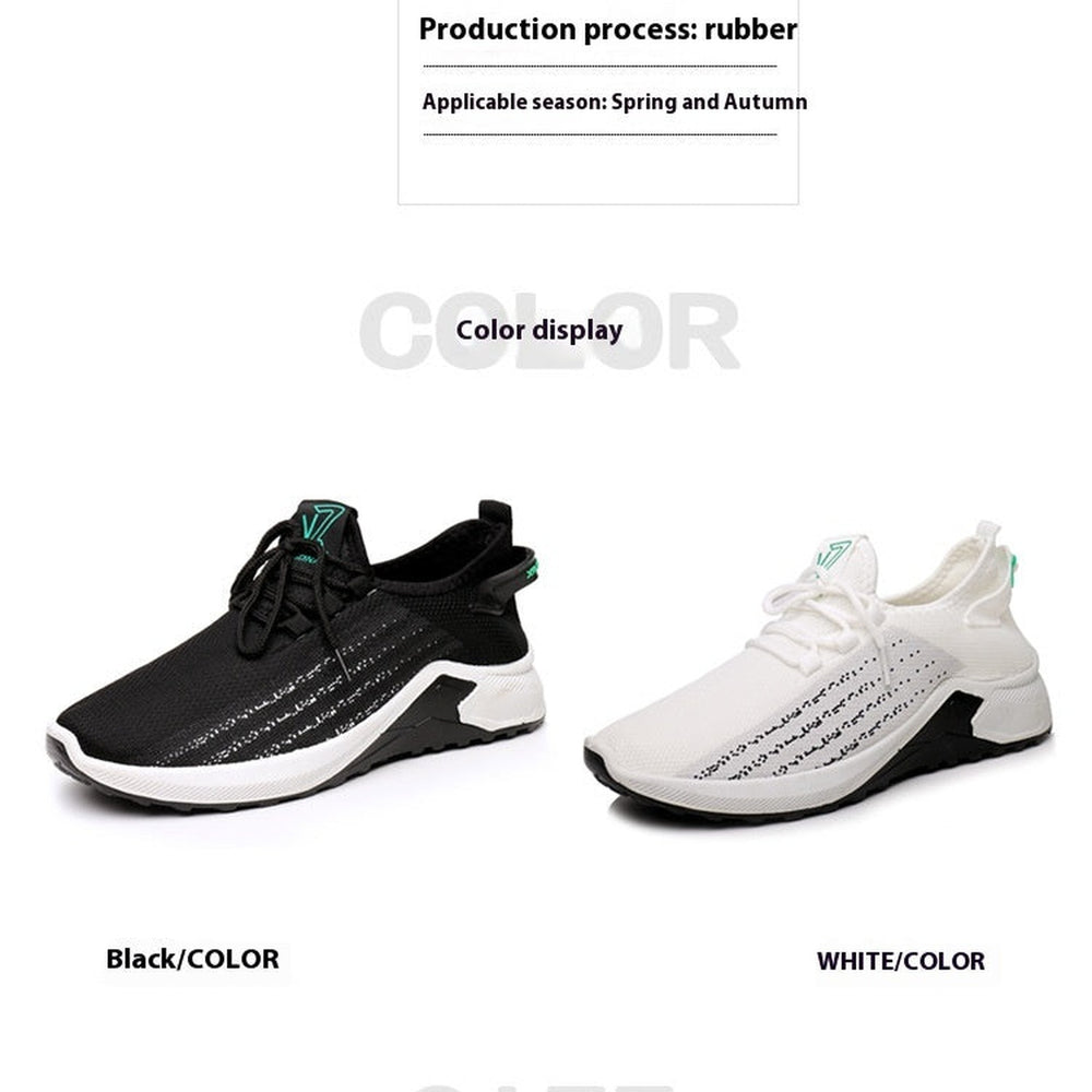 Flex Mesh Trainer